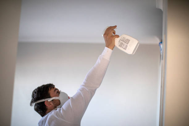 Best Insurance-Related Mold Remediation in Galax, VA